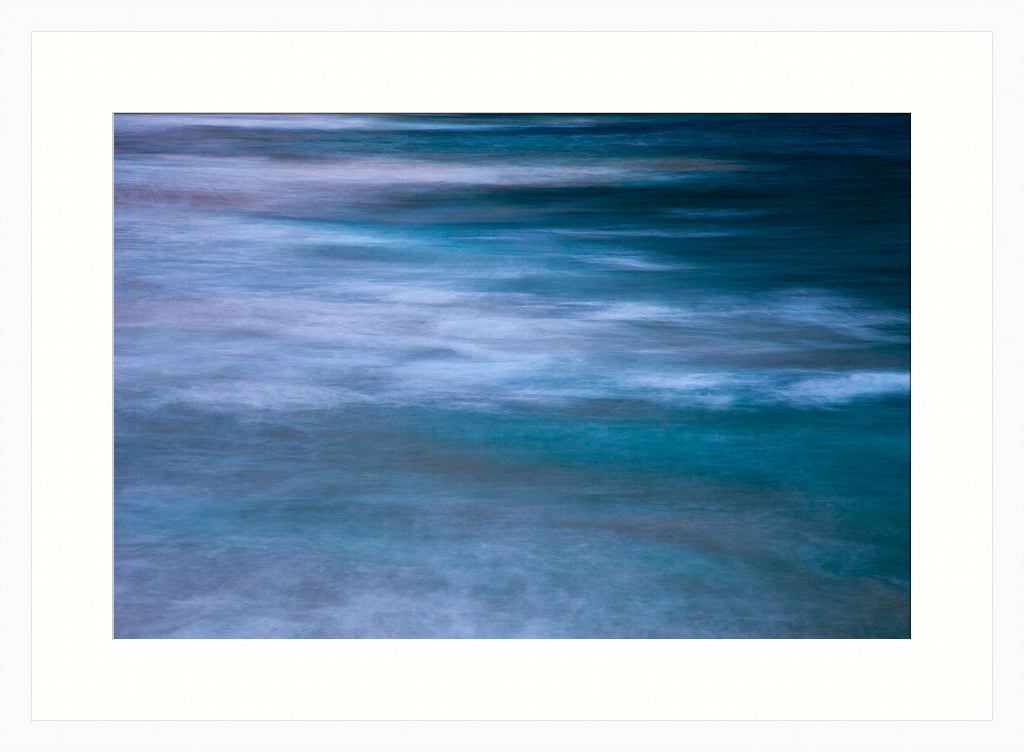 Curl Curl Wall Art Nature Photography