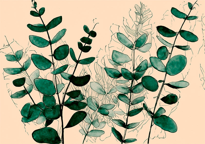 Evergreen Eucalyptus Australian Wall Art Prints