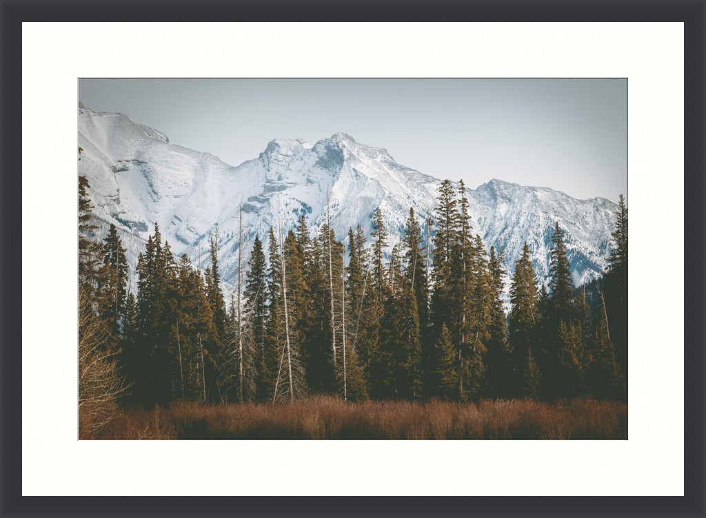 Landscape Photography Wall Art Print, snow capped mountains and pine trees nature photography in a black frame