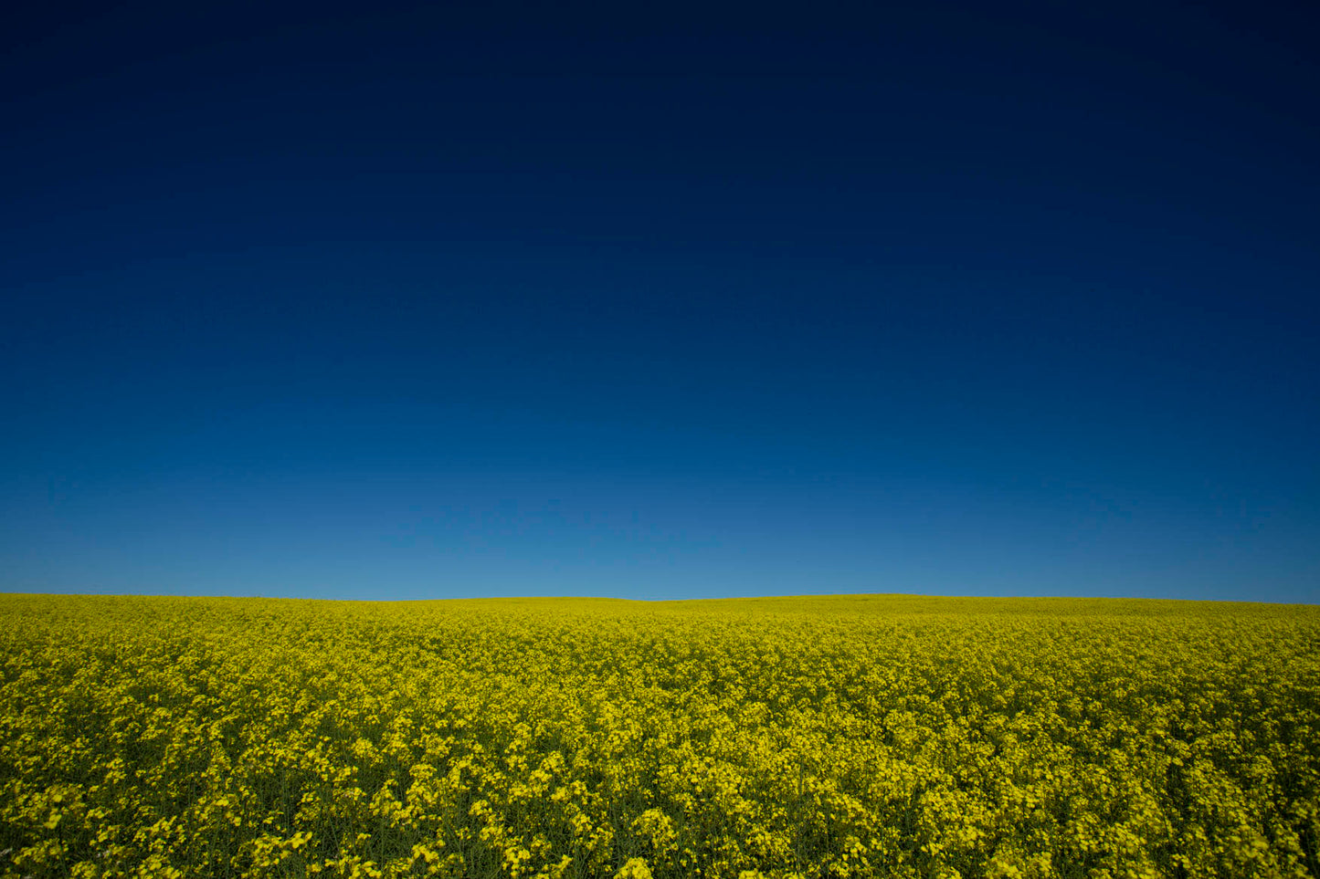 Wall art prints, wall art for living room, buy wall art, best australian landscape photographers, Nature Photography