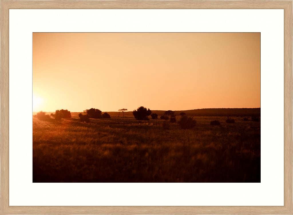 Sunset Landscape Photograph, Nature Photography, Wall Art Print, Golden, timber frame