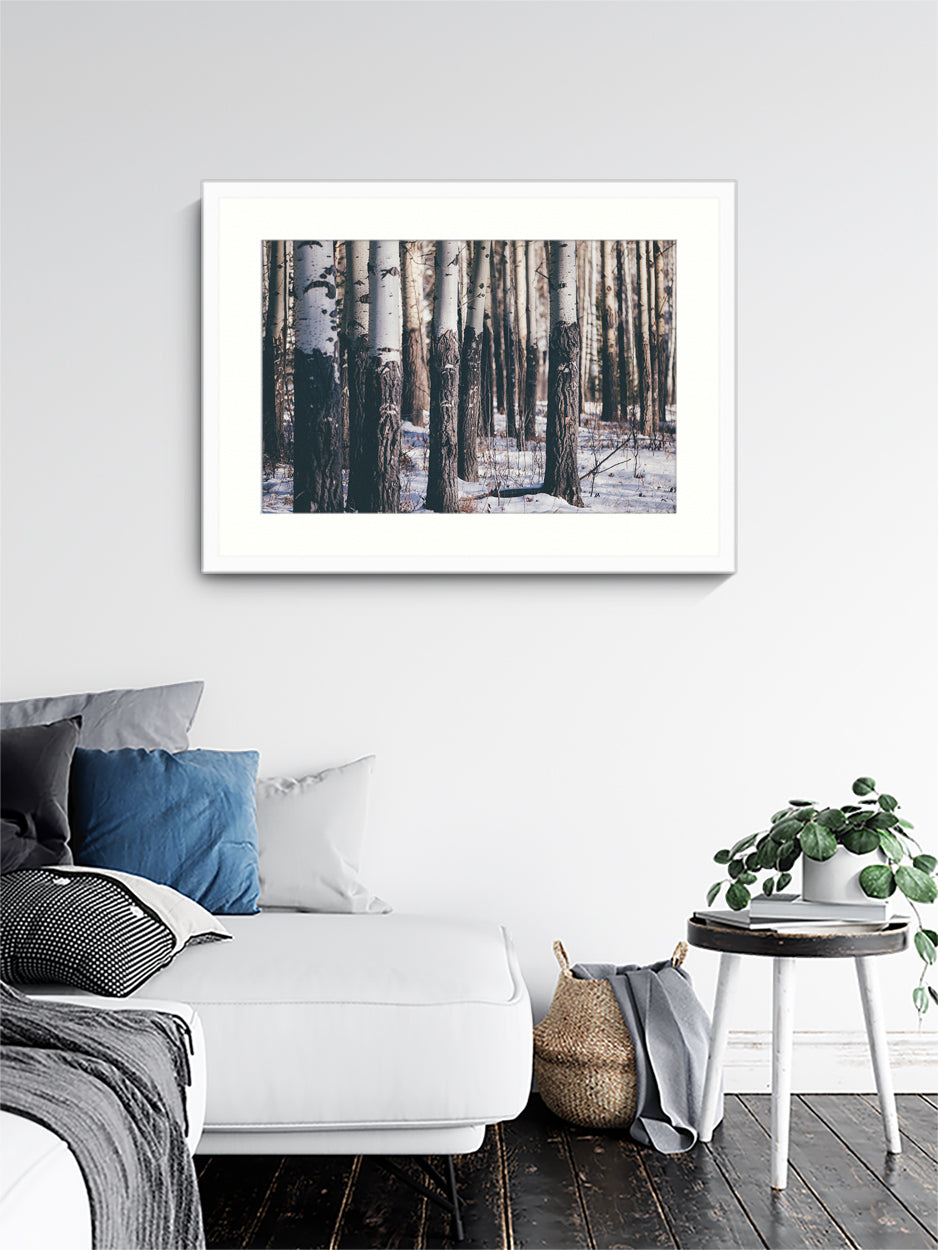 Landscape Photography Wall Art, Into the Woods, Winter Scene Canada Wall Art for office in white frame