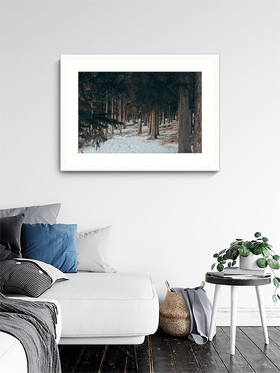 The Invitation Wall Art Nature Photography