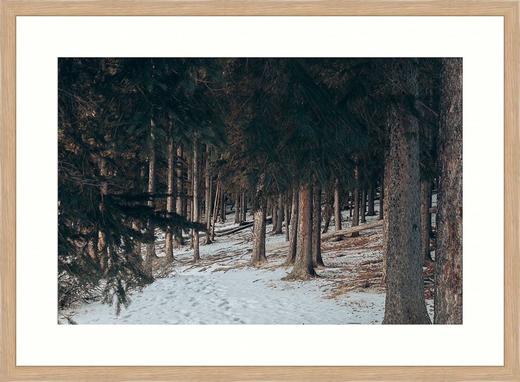 The Invitation Wall Art Nature Photography