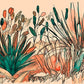 Australian Native Botanical Wall Art Print