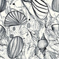 shells unique wall art print, abstract coastal sketch featuring shells.