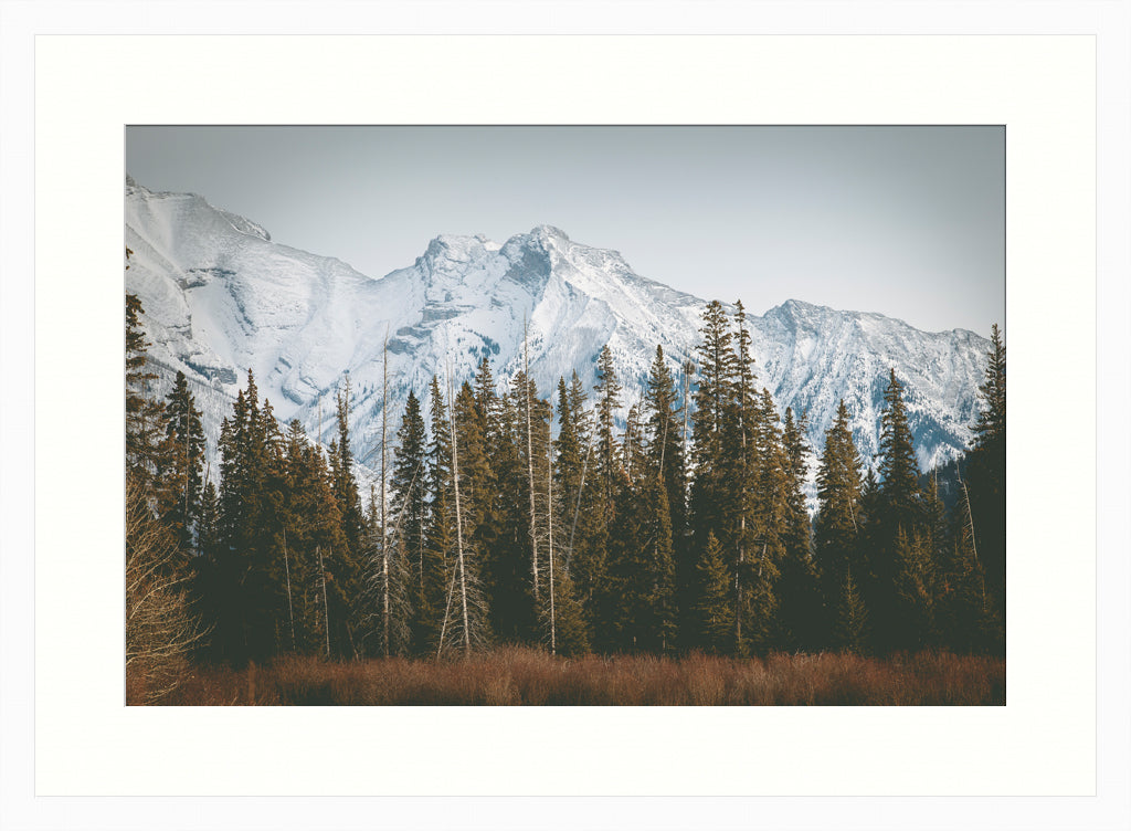 Landscape Photography Wall Art Print, snow capped mountains and pine trees nature photography in a white frame