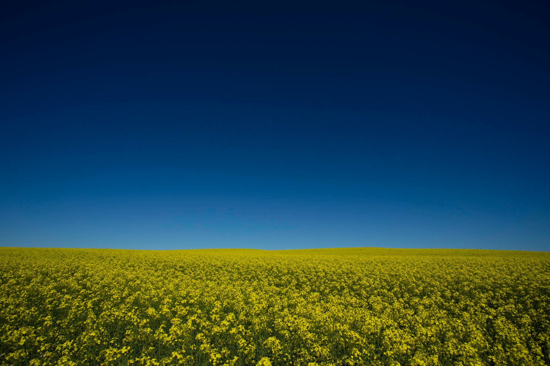 Wall art prints, wall art for living room, buy wall art, best australian landscape photographers, Nature Photography