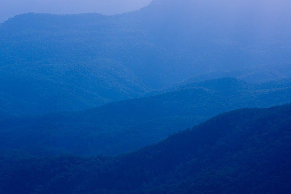 Shop All Australian Wall Art That Wall Art Shop