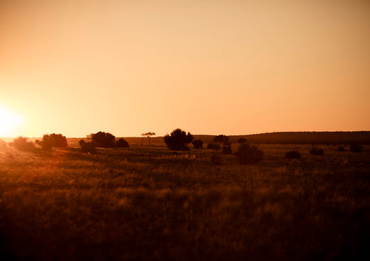 Sunset Landscape Photograph, Nature Photography, Wall Art Print, Golden photograph