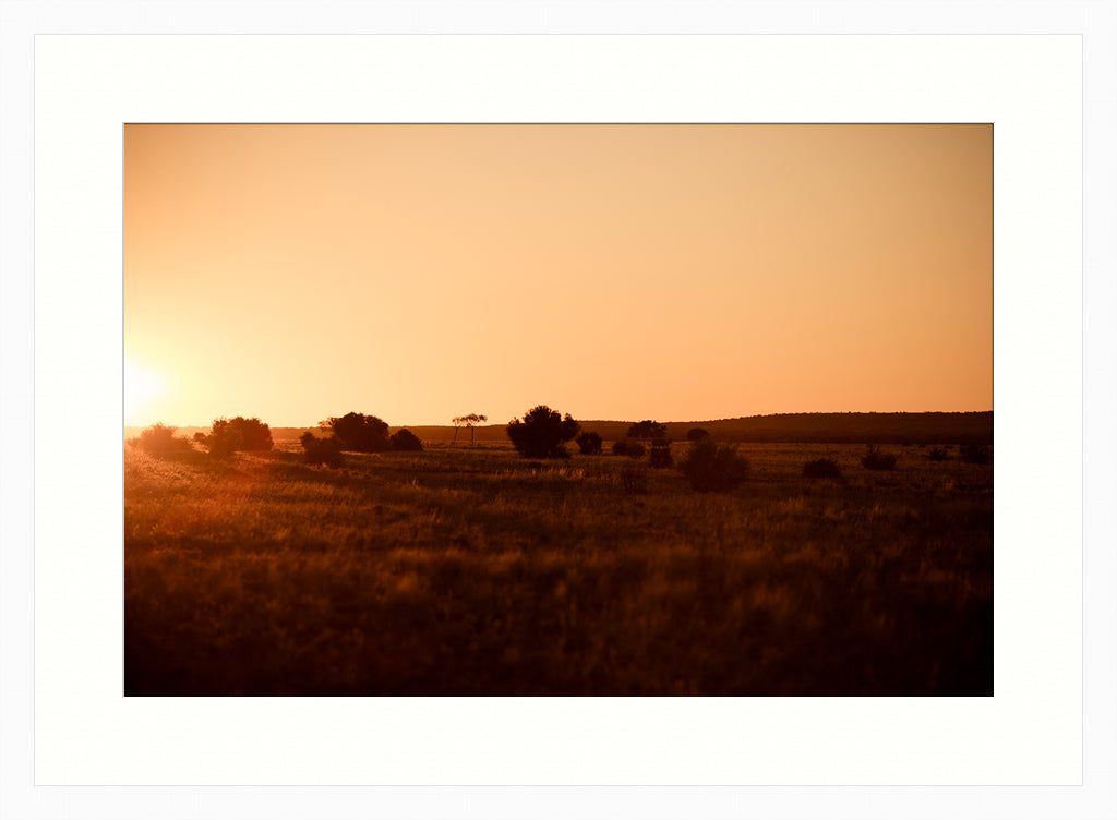 Sunset Landscape Photograph, Nature Photography, Wall Art Print, Golden, white frame