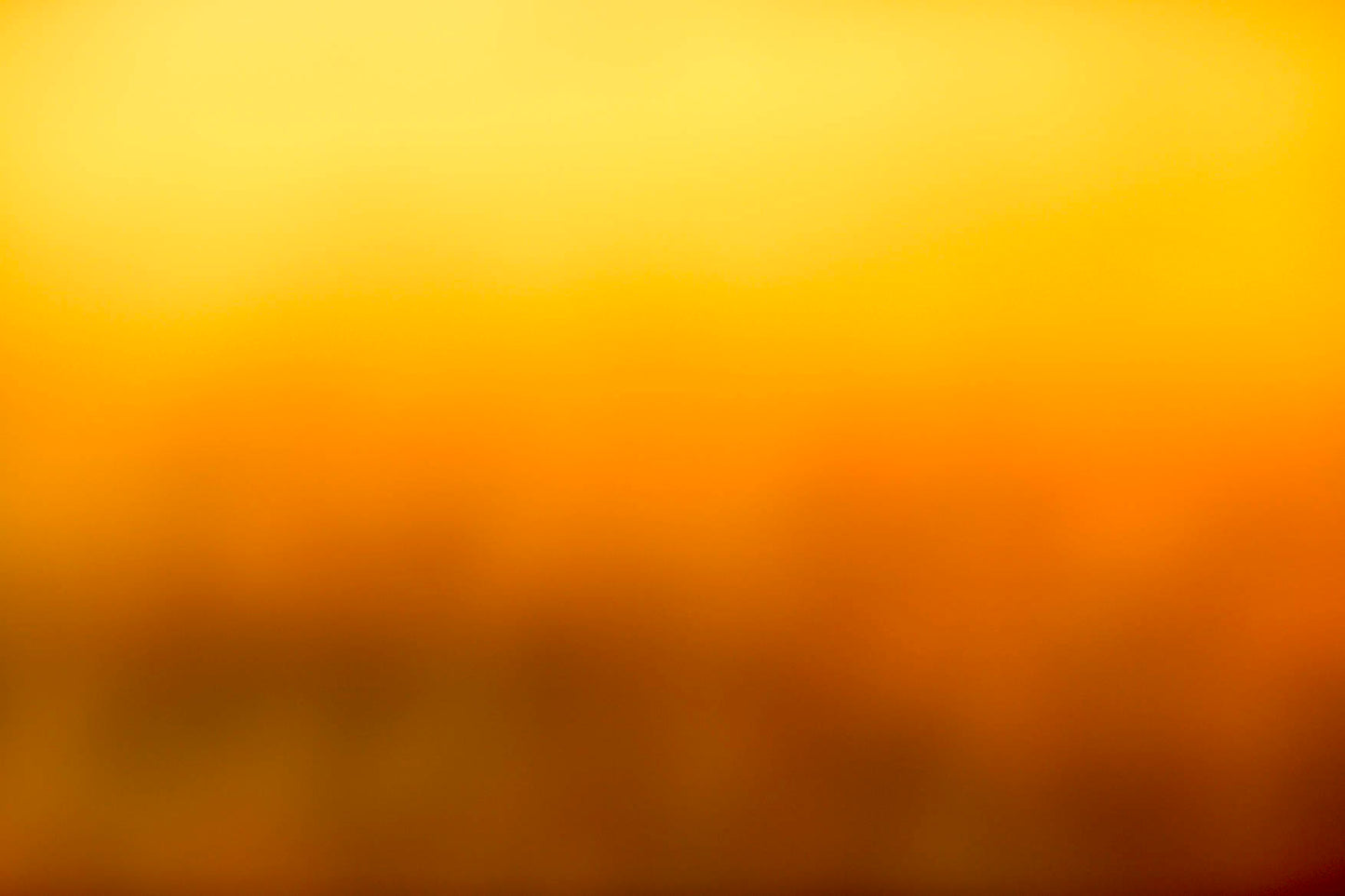 Wall art prints, wall art for living room, buy wall art, best australian landscape photographers, nature photography