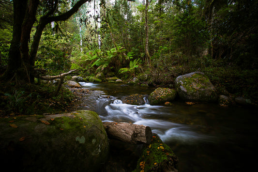 Wall art prints, wall art for living room, buy wall art, best australian landscape photographers, nature photography