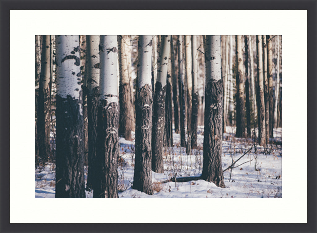 Landscape Photography Wall Art, Into the Woods, Winter Scene Canada Wall Art for office in black frame