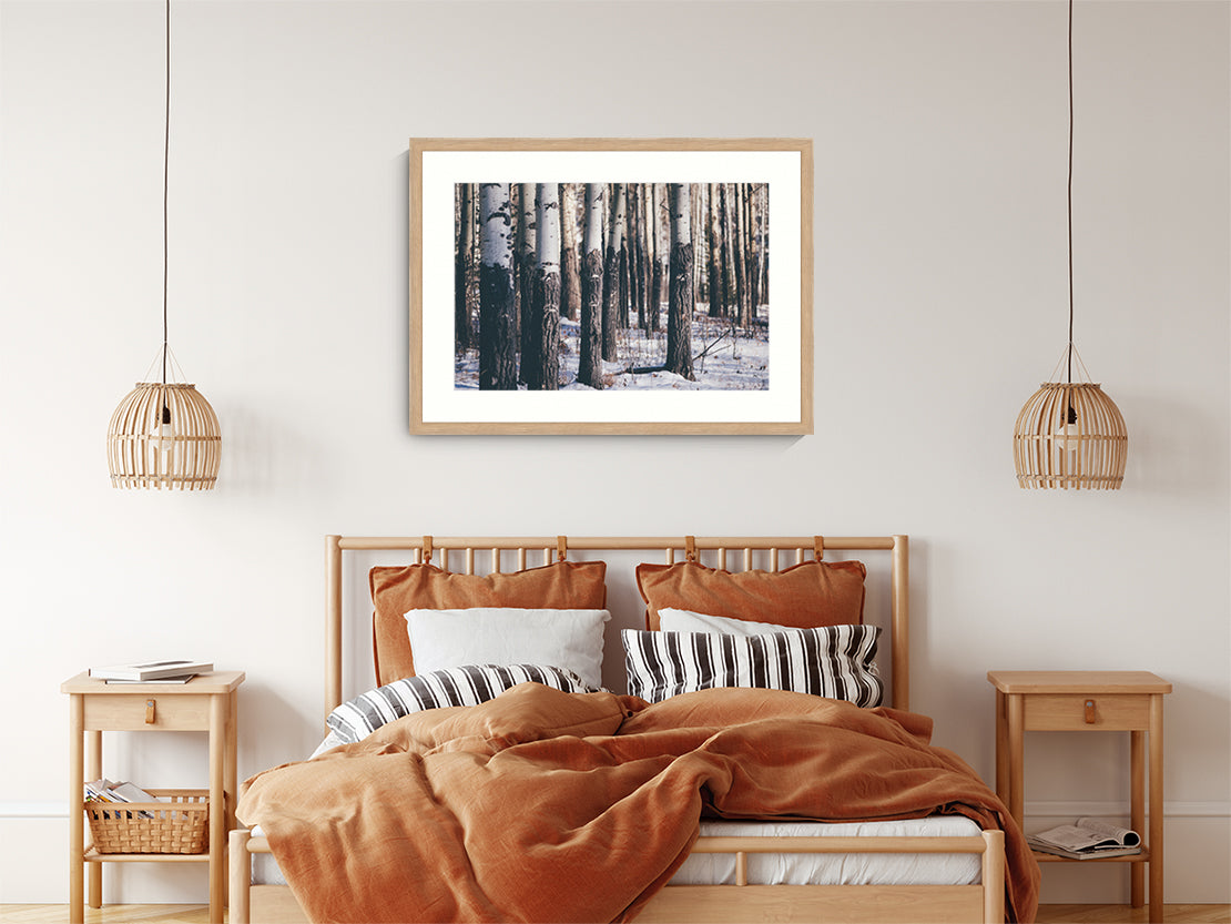 Landscape Photography Wall Art, Into the Woods, Winter Scene Canada Wall Art for office in timber frame