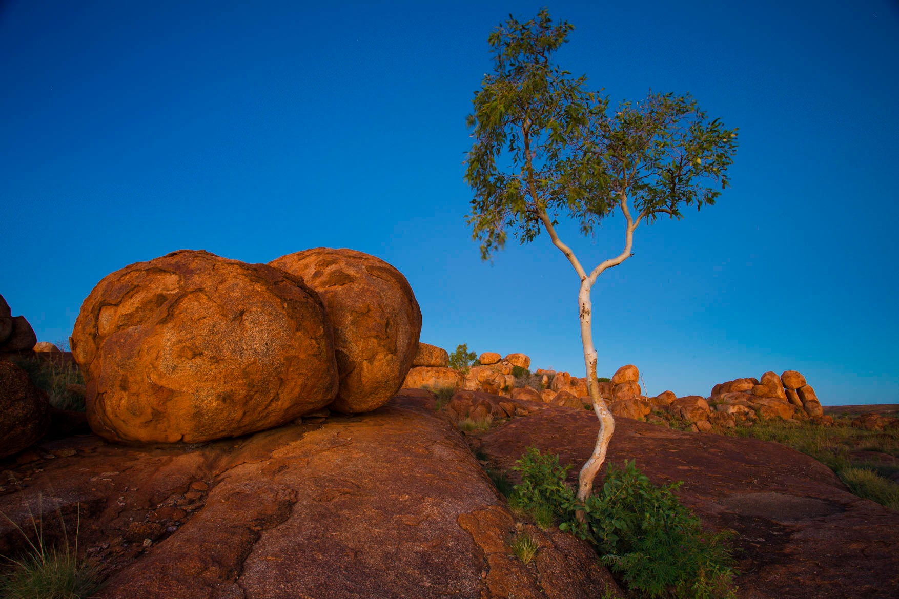 Wall art prints, wall art for living room, buy wall art, best australian landscape photographers, nature photography