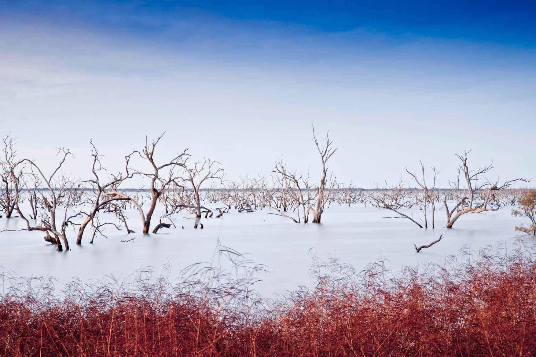 Wall art prints, wall art for living room, buy wall art, best australian landscape photographers, nature photography