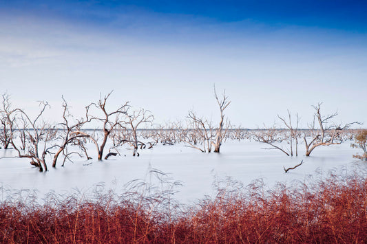 Wall art prints, wall art for living room, buy wall art, best australian landscape photographers, nature photography