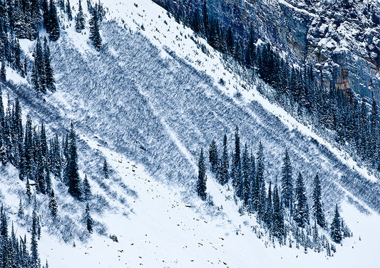 Snow Covered Hill Wall Art Nature Photography