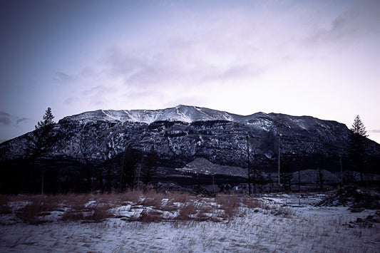 Jasper Wall Art Nature Photography